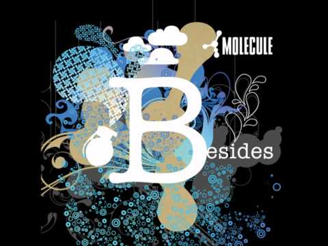 Jamaica (feat Zig Zag) - Molecule