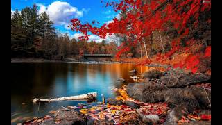 Elvira Madigan - David And The High Spirit