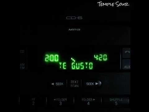 Temple Sour - Te Gustó (Audio Oficial)