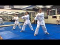 Karate Yellow Belt Exam