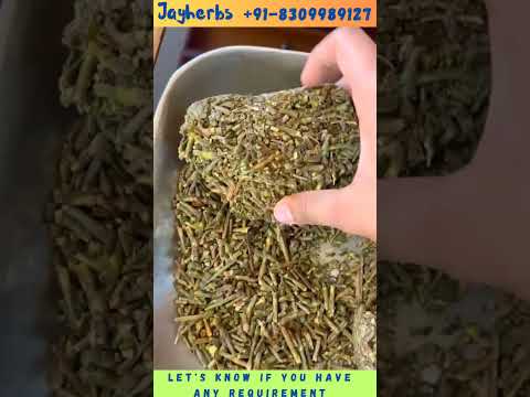 Dikamali Gardenia Gummifera