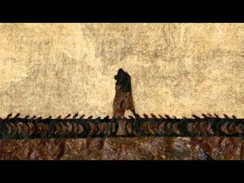 The Turtle and The Shark