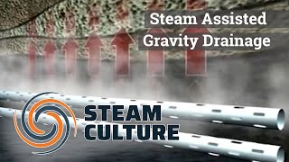 Steam Assisted Gravity Drainage - Steam Culture