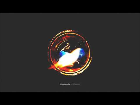 Mindstreaming - Seedling in a Forest