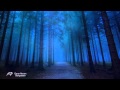 OMAR AKRAM - Stargazers