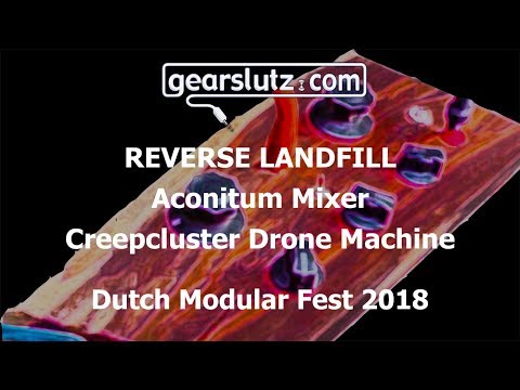 Reverse Landfill Apple Tree Noise & Drone Synth Circuit Bent image 4