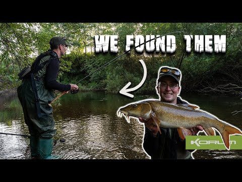 Searching small rivers for big barbel - River Teme