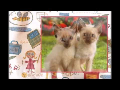 Wonderfull Chill Out Music Love Session Extended Version