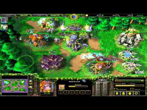 Warcraft 3 : Hinagiku Vs Nalesean (1v1 Ne)