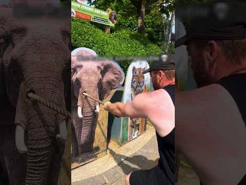 Ele achou que era forte, mas o tigre discordou