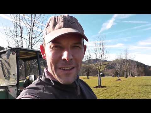 Mistkompost für die Hochstamm Bäume / Obstbäume düngen