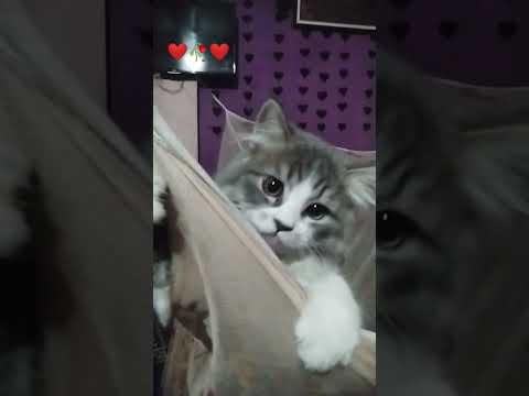 sooo cute Cate😘🙏🏼👍🏼 #bay #maruf