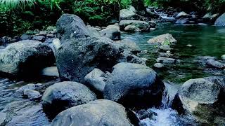 Top Sleep Expert Reveals Best White Noise Techniques for Insomnia