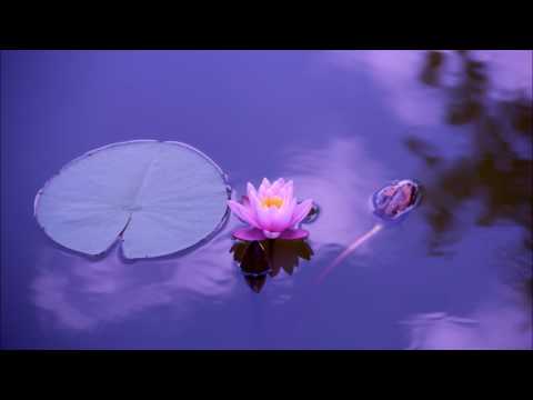 Meditacija disanjem - Čišćenje druge čakre