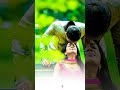 Tumse Milna Bate Karna Hindi Song Status WhatsApp Status Sad Status Couples Status