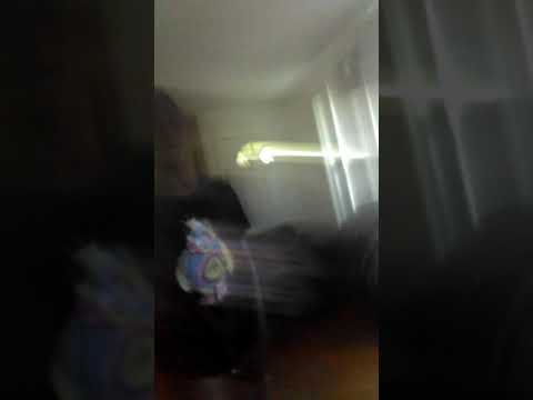 Nashawn and Kavon  raps to the beat if cacoon