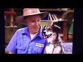 Barney Friends Season 7 Episode 4 Puppy Love Part 1