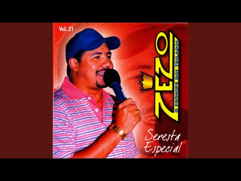 Desejo de Mulher - Zezo