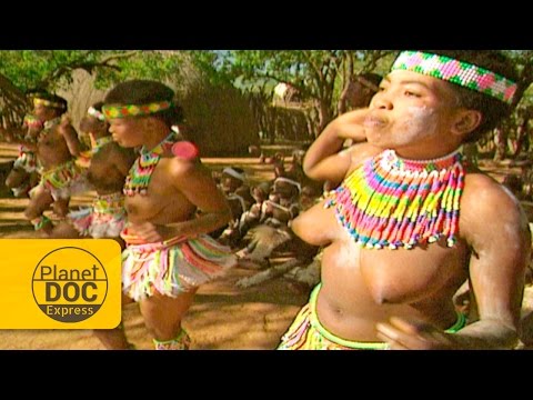 Africa Biggest Boobs