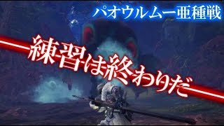 【モンハン】 回復禁止縛り これが！太刀人だぁ！