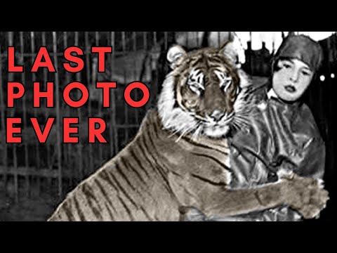 YouTube Thumbnail