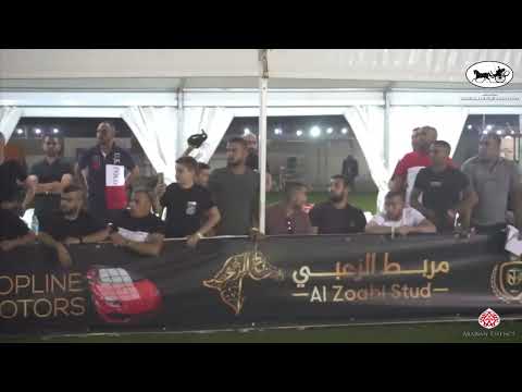 N 97 ROZALEN   Manda Arabian Horse Show   Fillies 3 Years Old section A Class 11