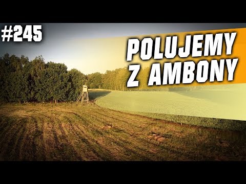 Darz Bór odc 245 - Polujemy z ambony