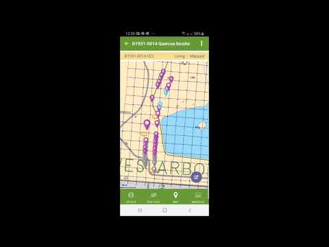 Floria v5