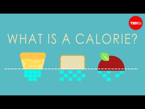 Understanding Calories 2