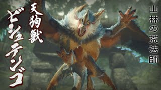 【モンハンライズ】狩猟解禁したのでやってみた。初対戦ビシュテンゴ