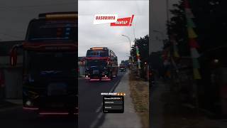 Download lagu Telolet Basuri 3 Bus Gelar Pratama 😱 MANTAP‼️ #bustelolet #telolet #busbasuri #basuri #teloletbasuri mp3