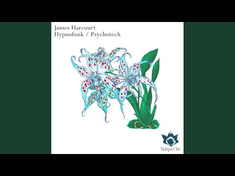 Hypnofunk (Original Mix)