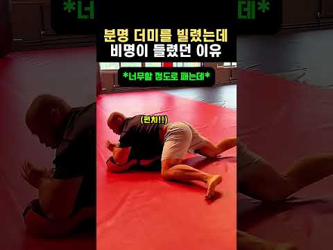 분명 더미를 빌렸는데 비명이 들렸던 이유 #격투기 #스포츠