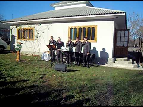 Shalom Corjeuti - Floare minunata