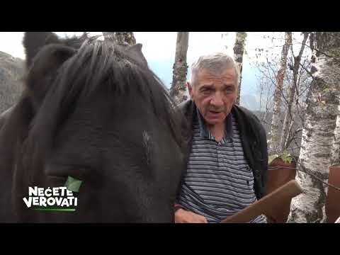 NEĆETE VEROVATI - Divlji konji