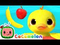 Apples And Bananas Five Senses Song Learn Educational CoComelon Nursery Rhymes Kids Songs