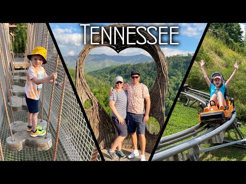 Facing All Our Fears in 1 Day -- Zip Line, Mountain Coasters, Heights & Bears!