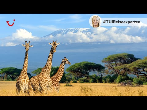 TUI Reiseexperten Tipps - Urlaub in Kenia