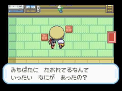 Touhoumon Gensokyo Version Part 1 -Defending against Charisma-