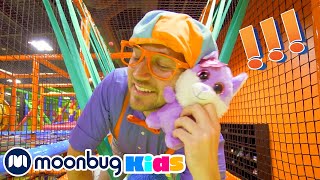 Blippi 5 Duyuyu Öğreniyor - BLIPPI Türkçe | Çizgi Filmler | Moonbug Tü