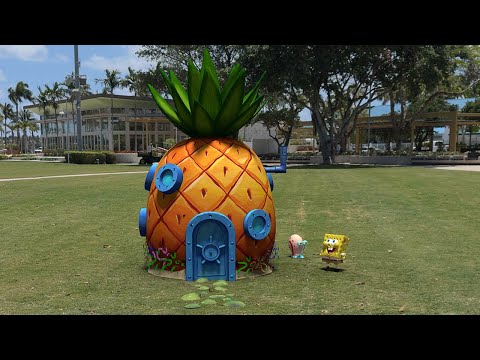 SpongeBob's House🍍