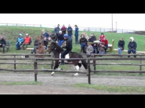 FIZO Kronshof 2011 - RE 1 - www.isibless.de