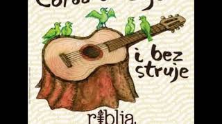 Riblja Čorba (BORINI RATNICI) Sava centar 31.10.2014. i 1.11.2014. Koncert bez struje