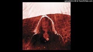 Ty Segall - Feel