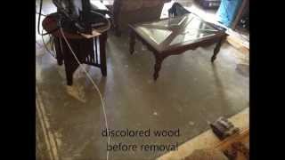 preview picture of video 'Water Damage Brandon | 813-425-3355 | Brandon Water Damage'