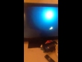 Closing To Finding Nemo 2003 DVD Disc 1
