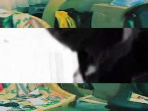 VLAD LOOSE (EL CHOBBi)-OFFICIAL VIDEO YOU DONT KNOW ENOUGH