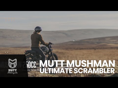 2025 🔥🔥🔥THE MUSHMAN 125CC + 250CC BIKE | MUTT MOTORCYCLES