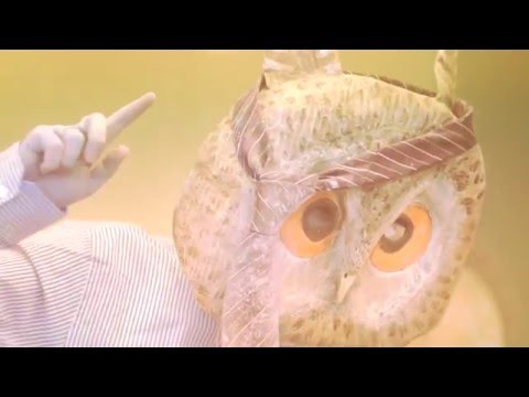 download lagu mp3 mp4 End Of The Road Festival Line Up 2016, download lagu End Of The Road Festival Line Up 2016 gratis, unduh video klip End Of The Road Festival Line Up 2016