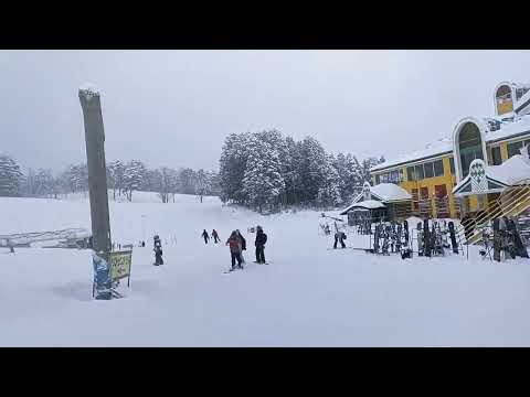 高鷲スノーパークまだまだパウダー残ってるよ！24日水曜日